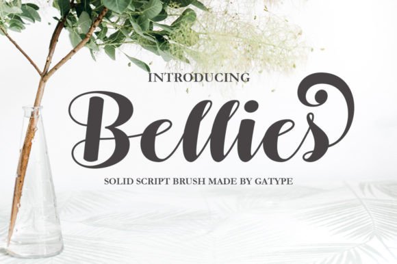 Bellies: A Script Amp That Feels Like a Hand-Drawn Secret