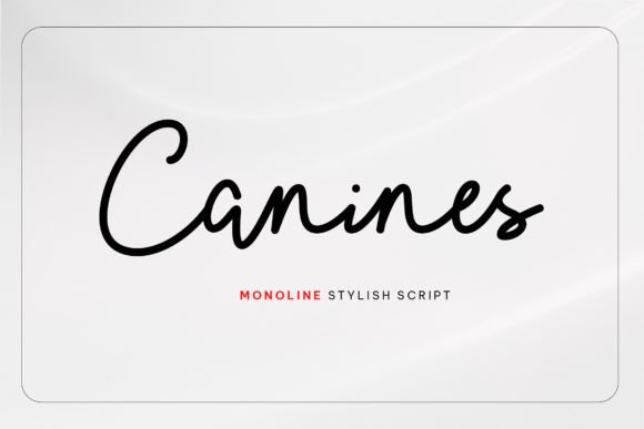 Canines: A Modern Script Font for Editorial Design