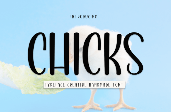 Chicks: A Friendly Handwritten Font for Scroll-Stopping Campaigns
