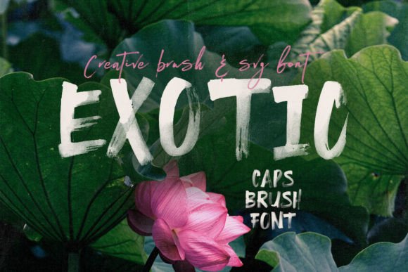 Exotic: A Bold Brush Script Font for Handmade Labels & Printables